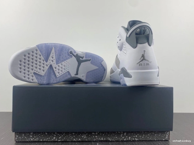 Jordan Grey Cool 6 Air CT8529-100 1031